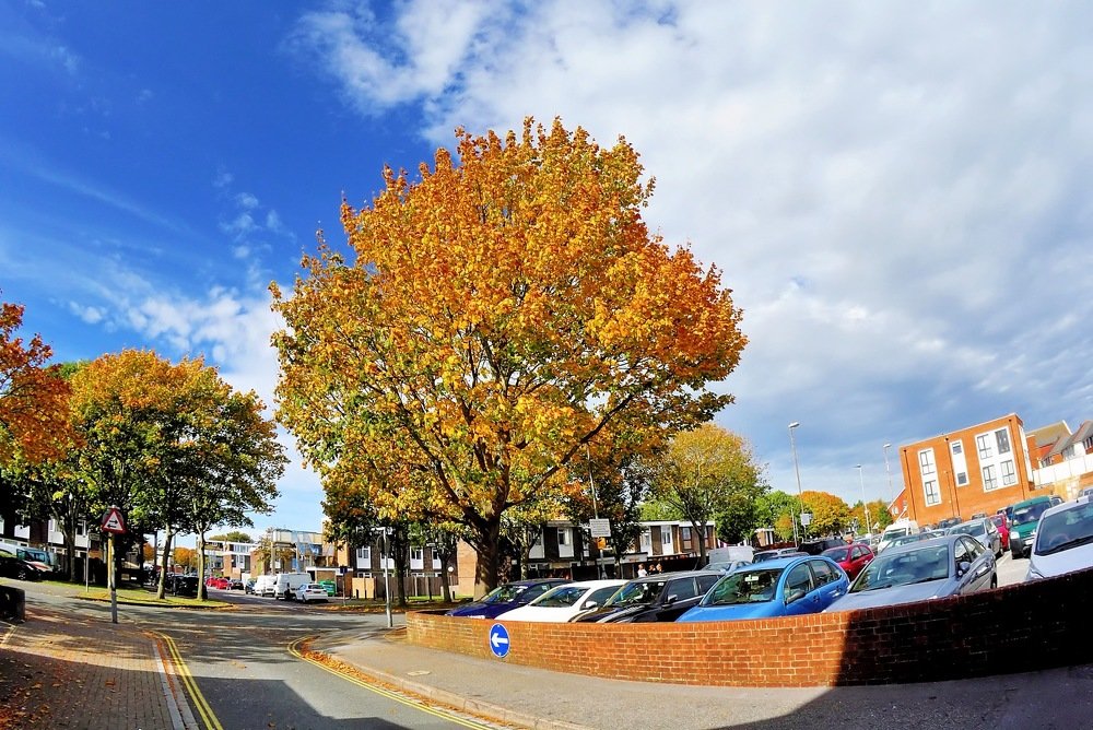 Фотография автора Teglaş Marin