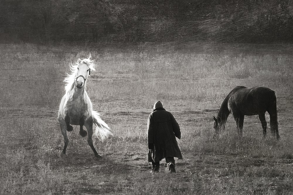 Непокорность