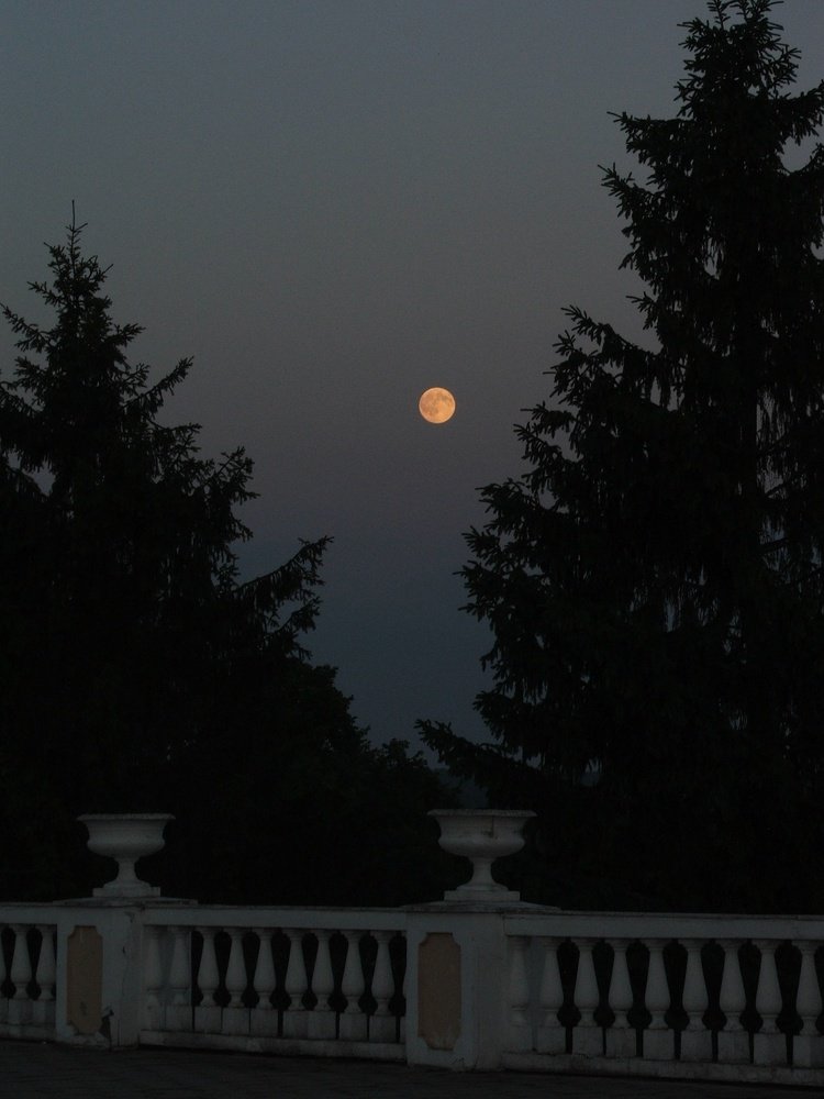 Фотография автора Владислава Андрюнина