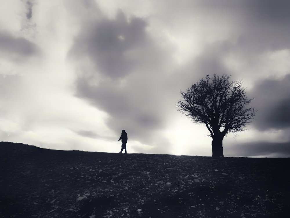 Photograph by Yahya Kakapour