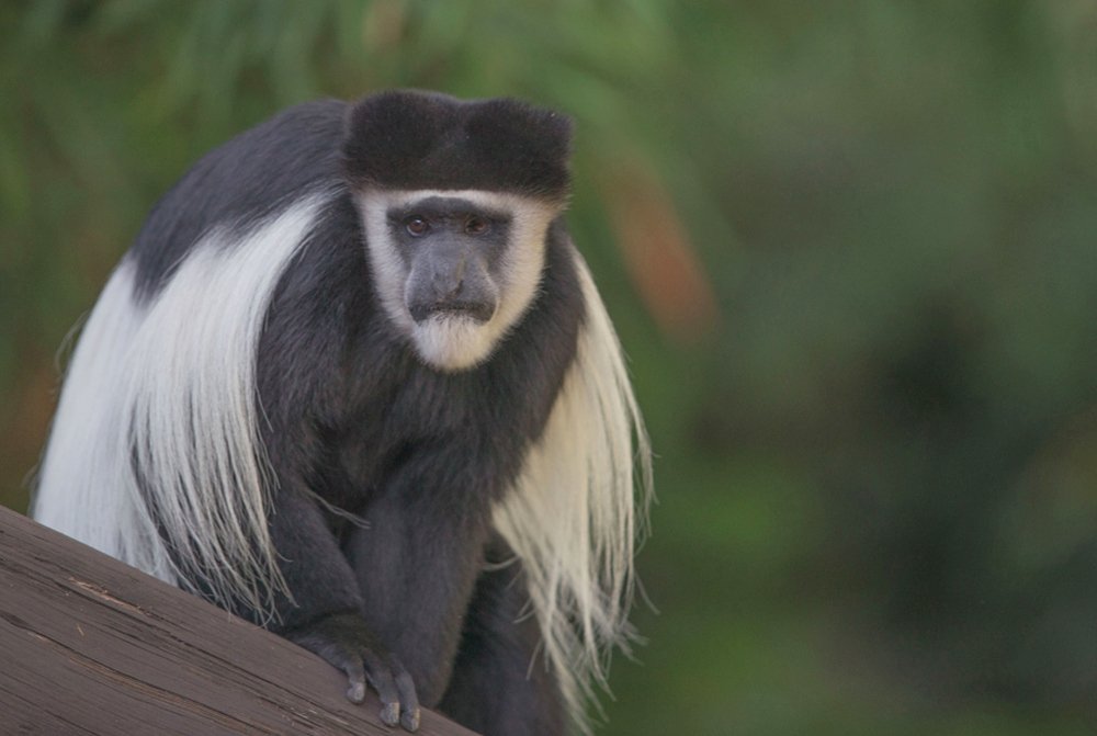 Фотография автора Sudipta Chakraborty