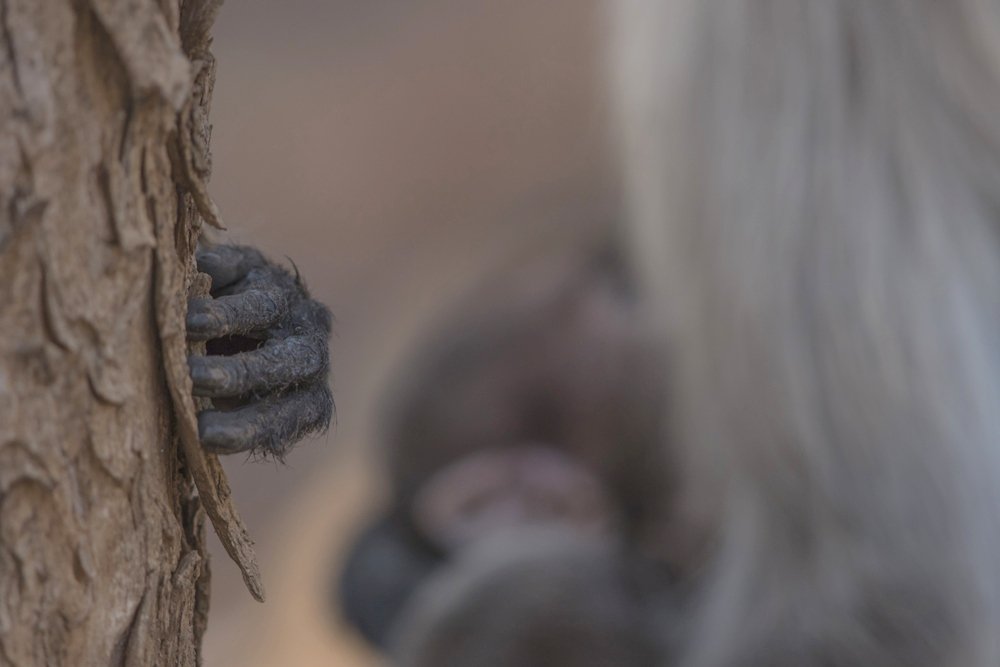 Фотография автора Sudipta Chakraborty