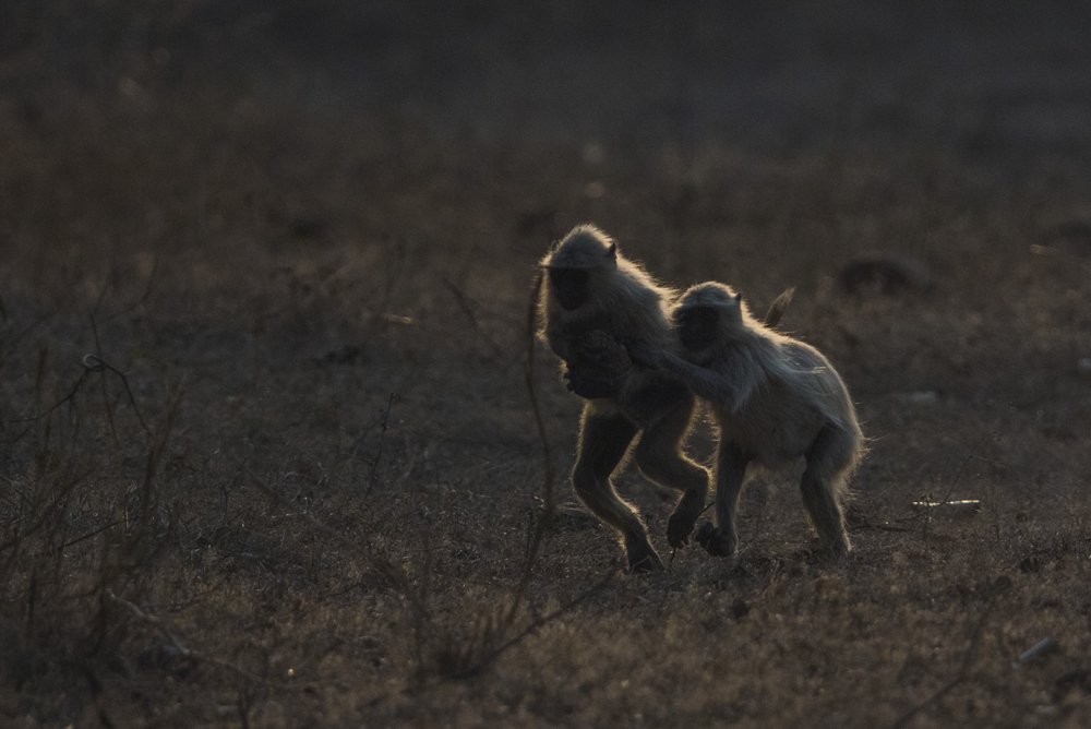 Фотография автора Sudipta Chakraborty