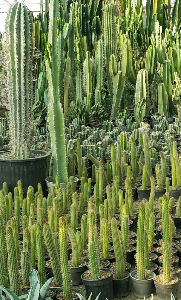 Photograph by Vajiheh Shahsavari