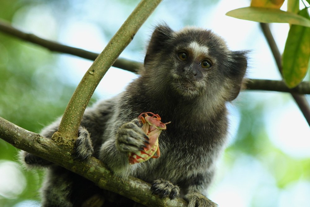 Photograph by Moura Denis