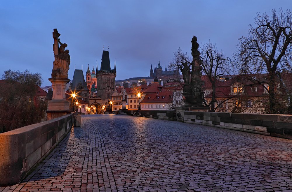 Photograph by Sokolova Tatiana