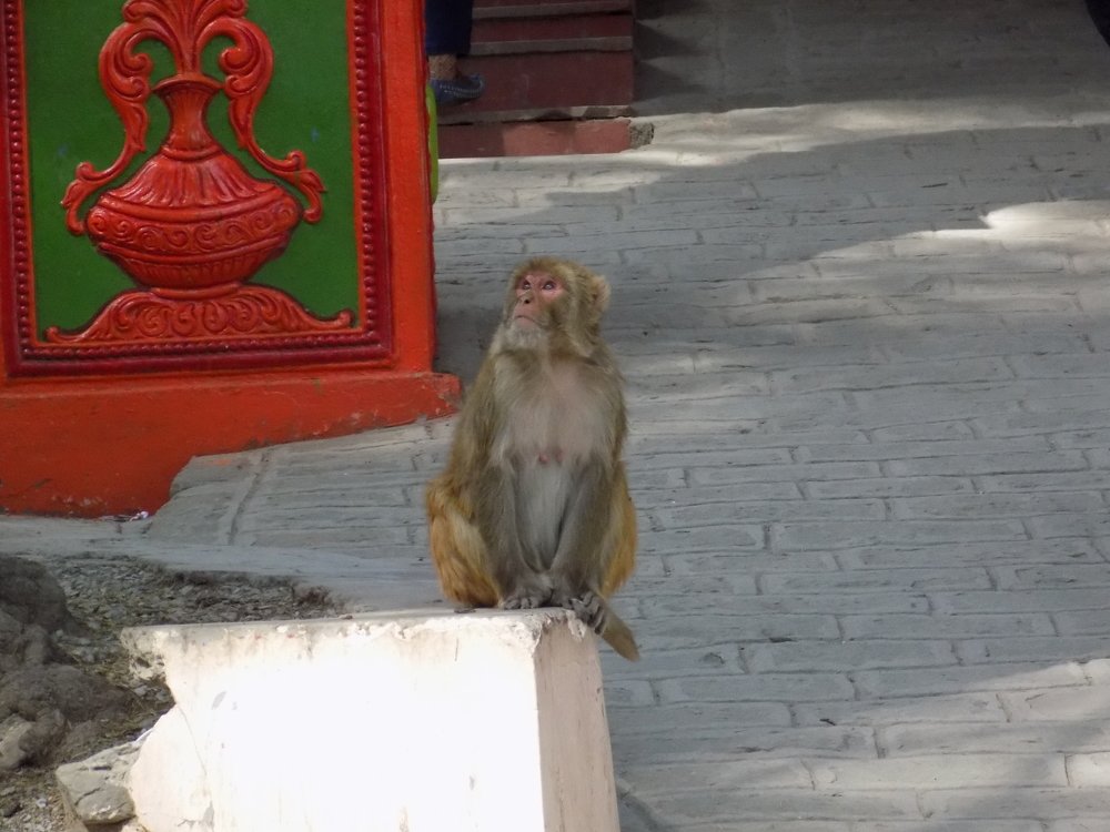 Photograph by DEEPAK PRINCE