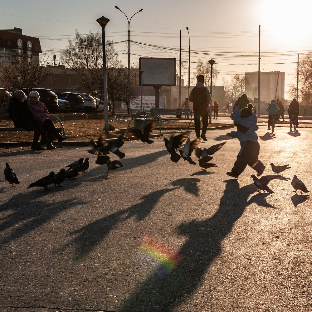 Ребенок и голуби