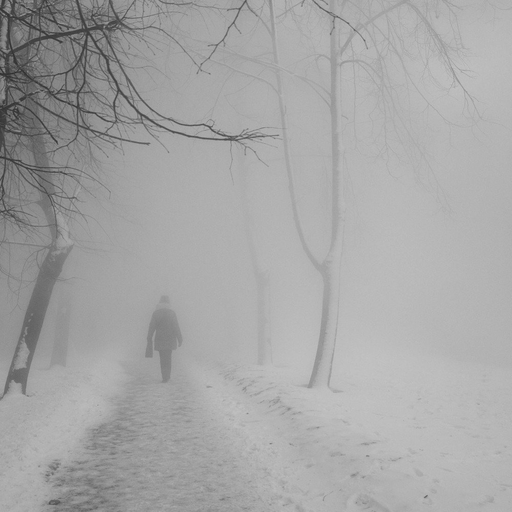 Photograph by Denis  Goryachev