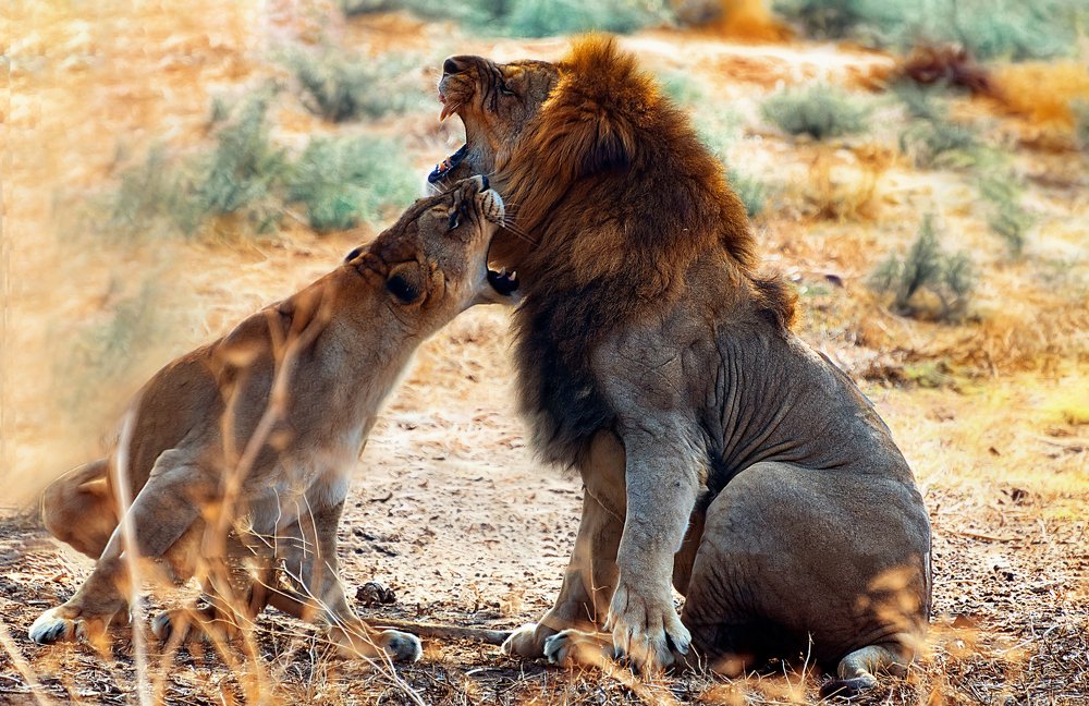 Photograph by David Lerer