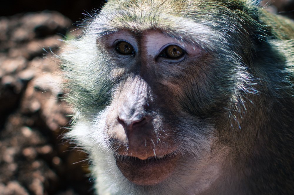 Photograph by Alex Mayer