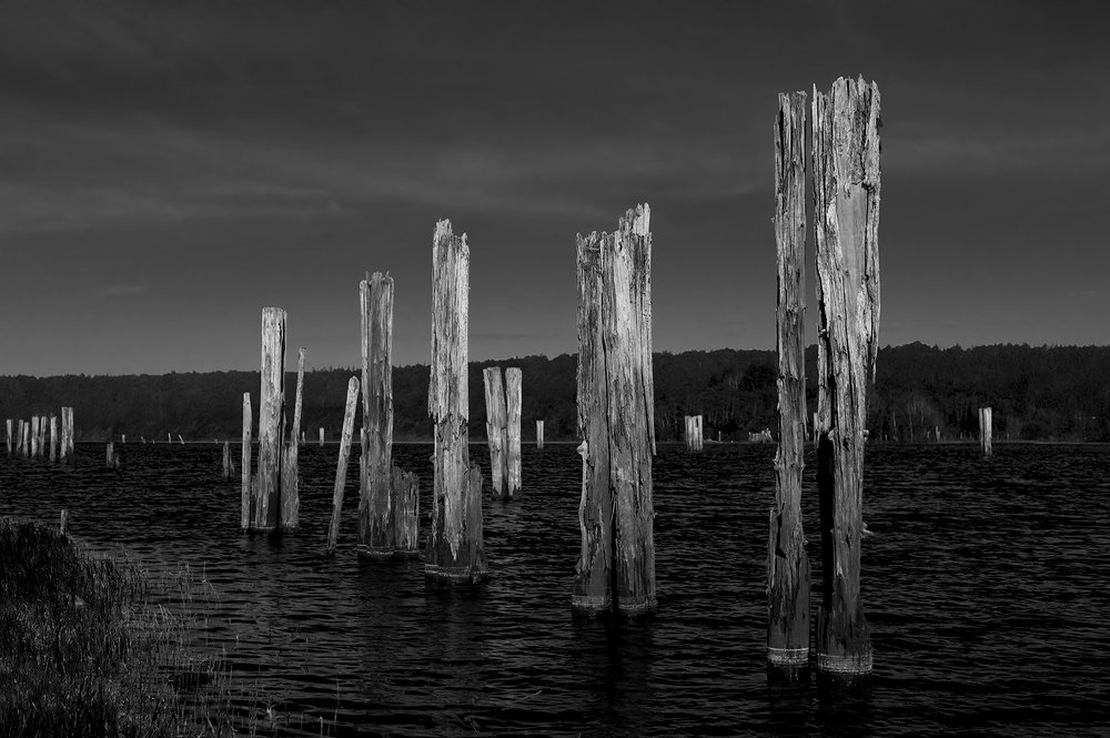 Photograph by Константин Гончаров