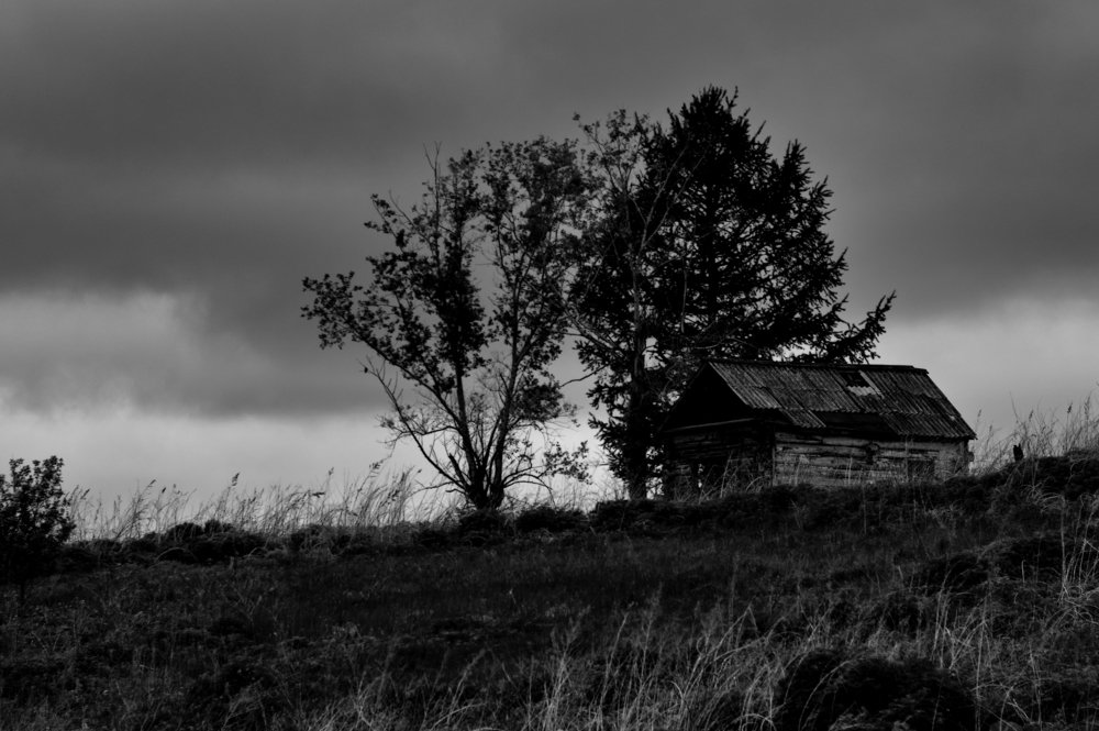 Photograph by Владимир Янчук