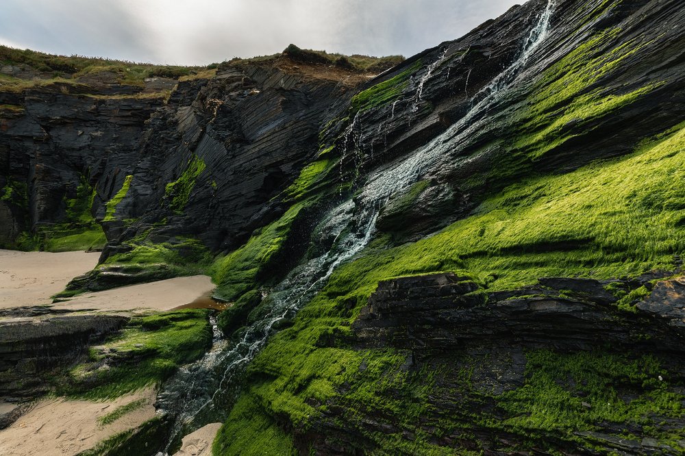 Паттерны зелёного цвета.