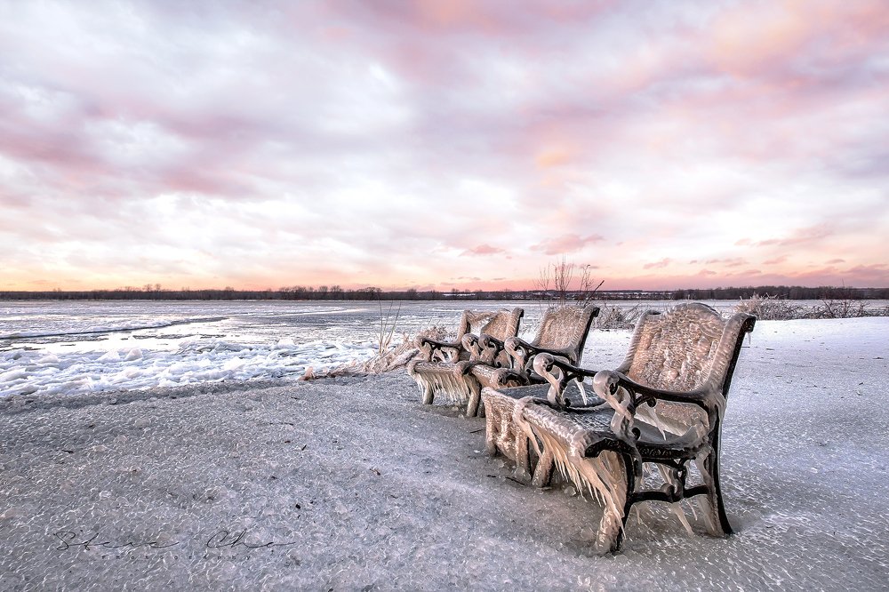 Photograph by Steve Joh