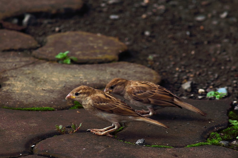 Photograph by Nilesh Mohite