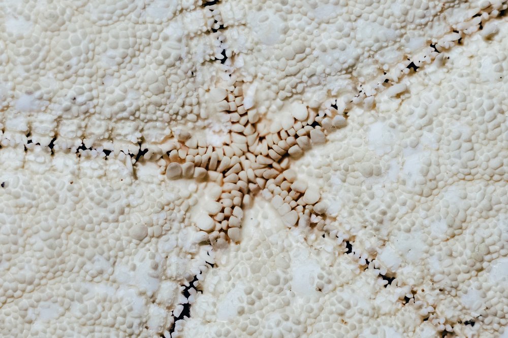 Photograph by Геннадий Климов