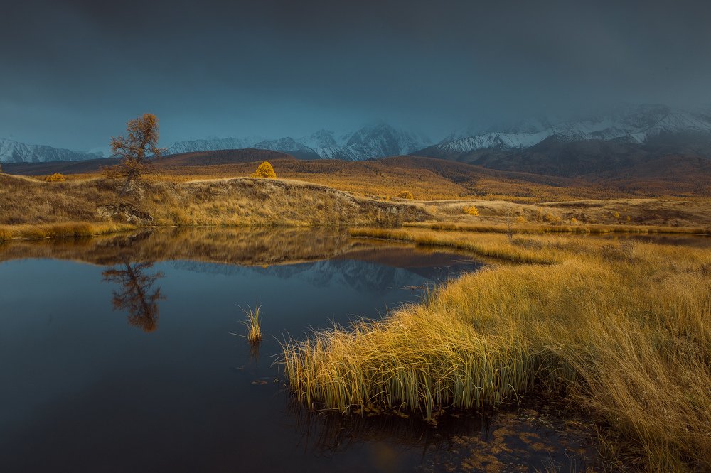 Фотография автора Алексей Новиков