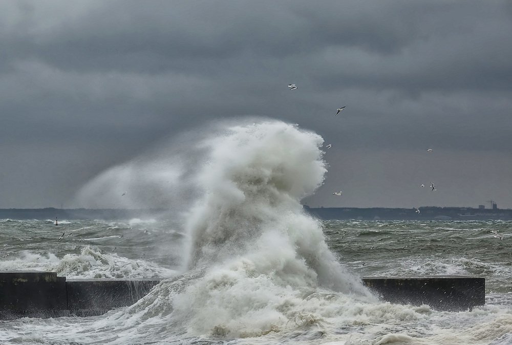 Счастливый Посейдон...