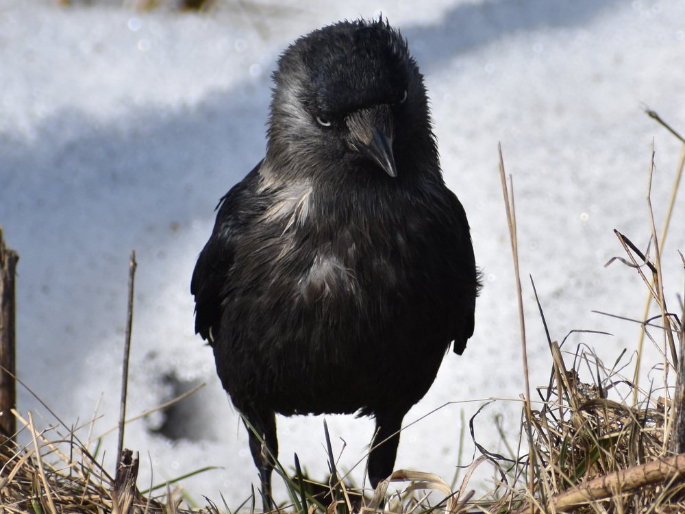 Photograph by Наталья Аржинт