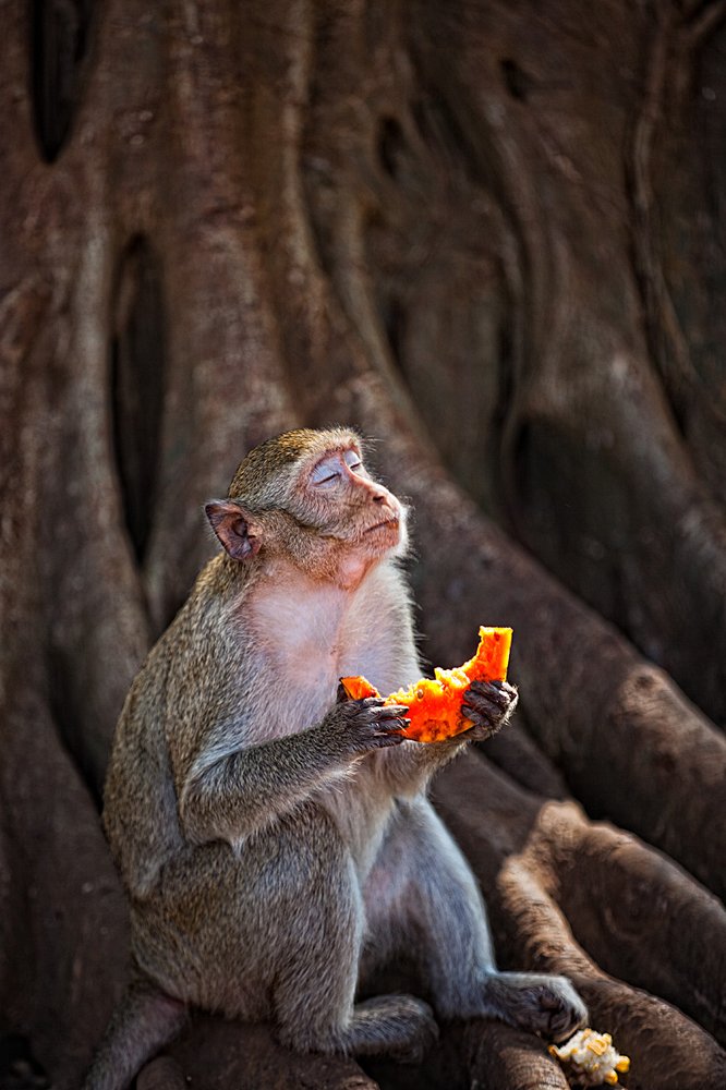 И пусть весь мир подождет !!!