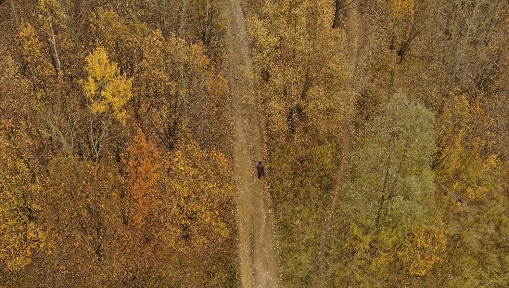 Photograph by Андрей Машкович