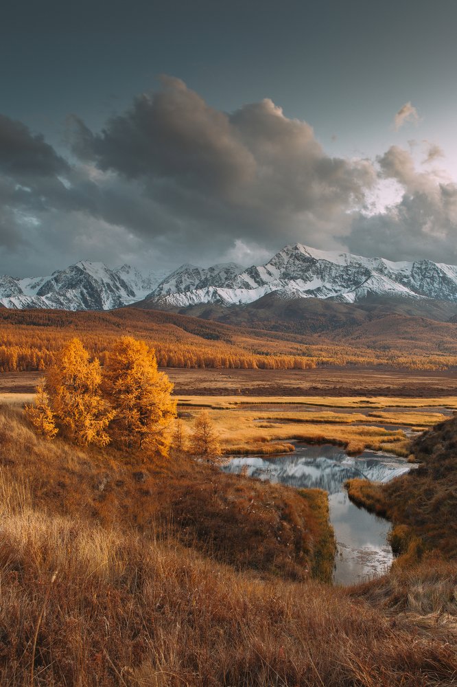 Фотография автора Алексей Новиков