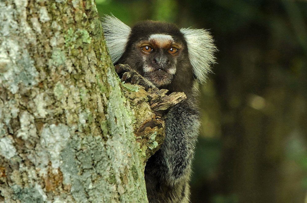 Photograph by Moura Denis