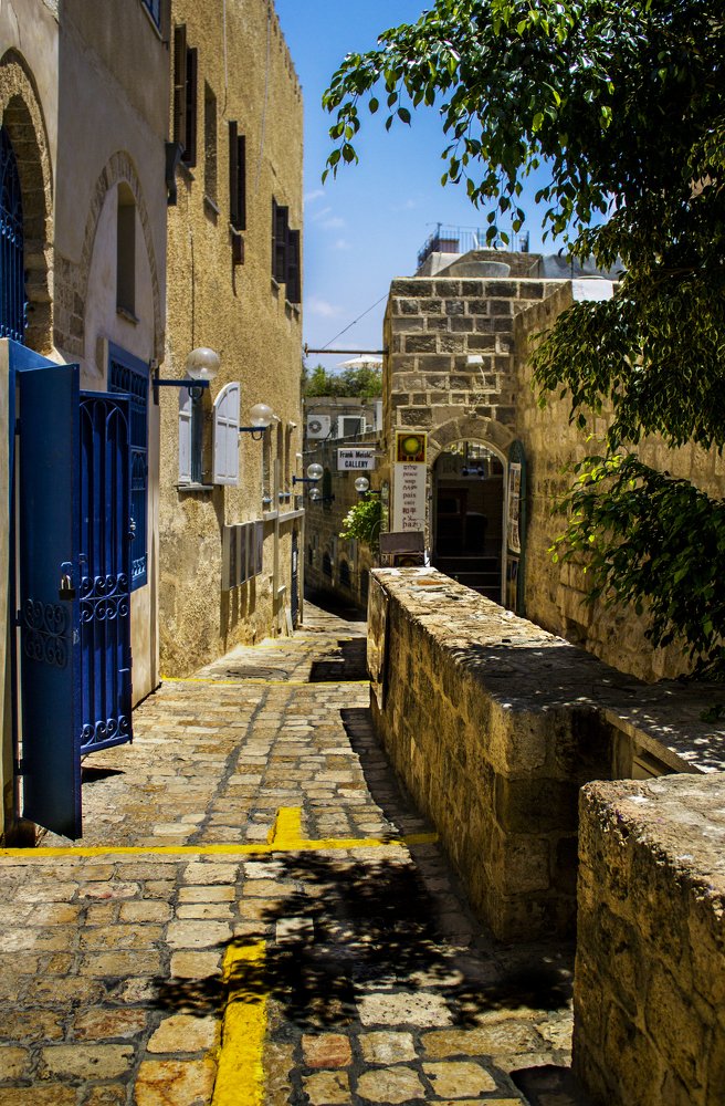 Фотография автора Ольга Забрянская