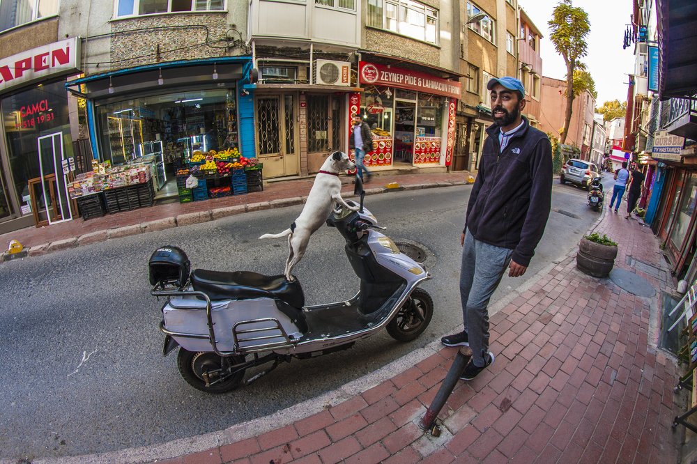 Эх, прокачу!