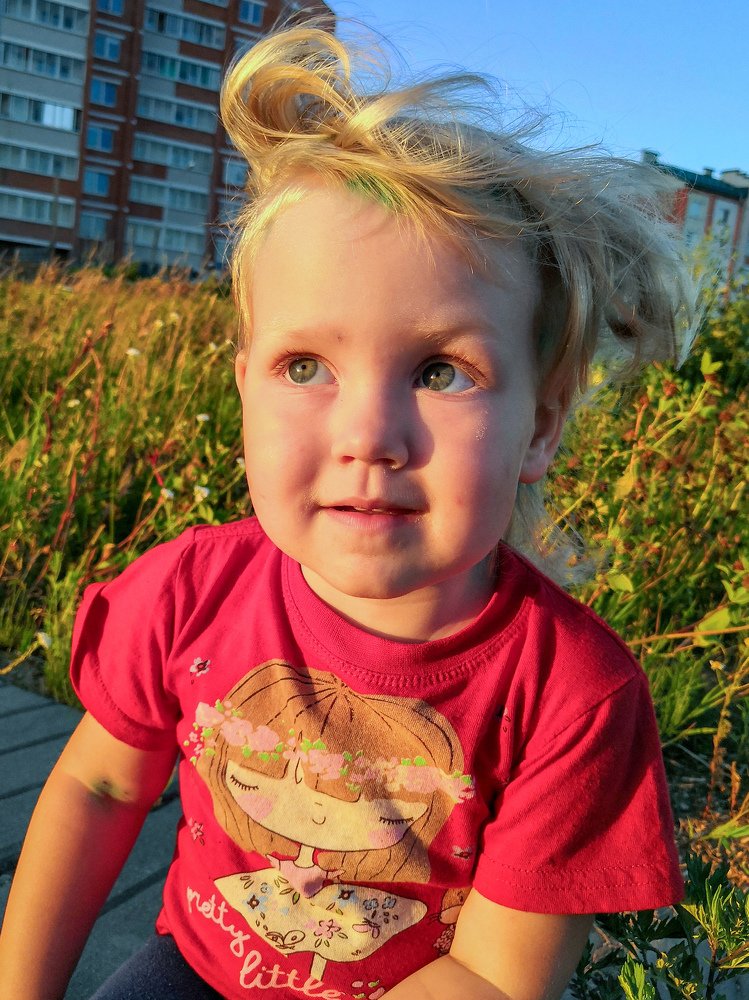 In the sunshine of sunset