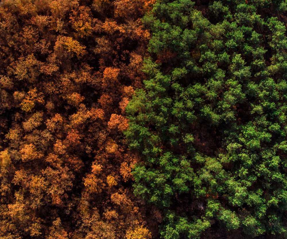 "Противостояние" - "Opposition"