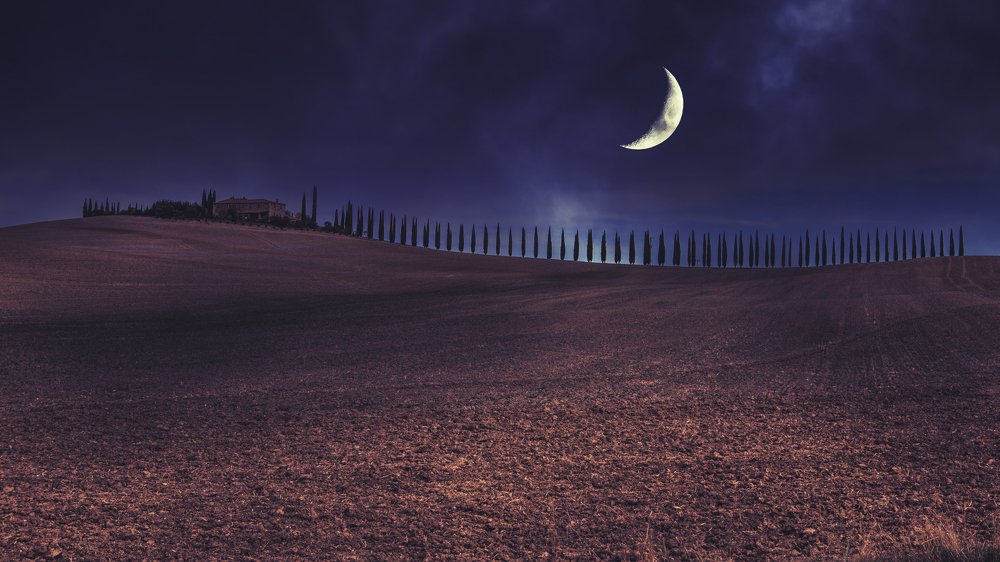 Photograph by Геннадий