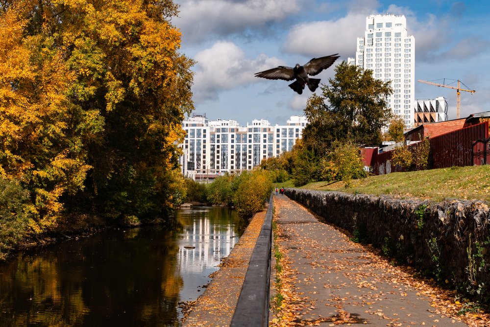 А в анфас я получаюсь лучше