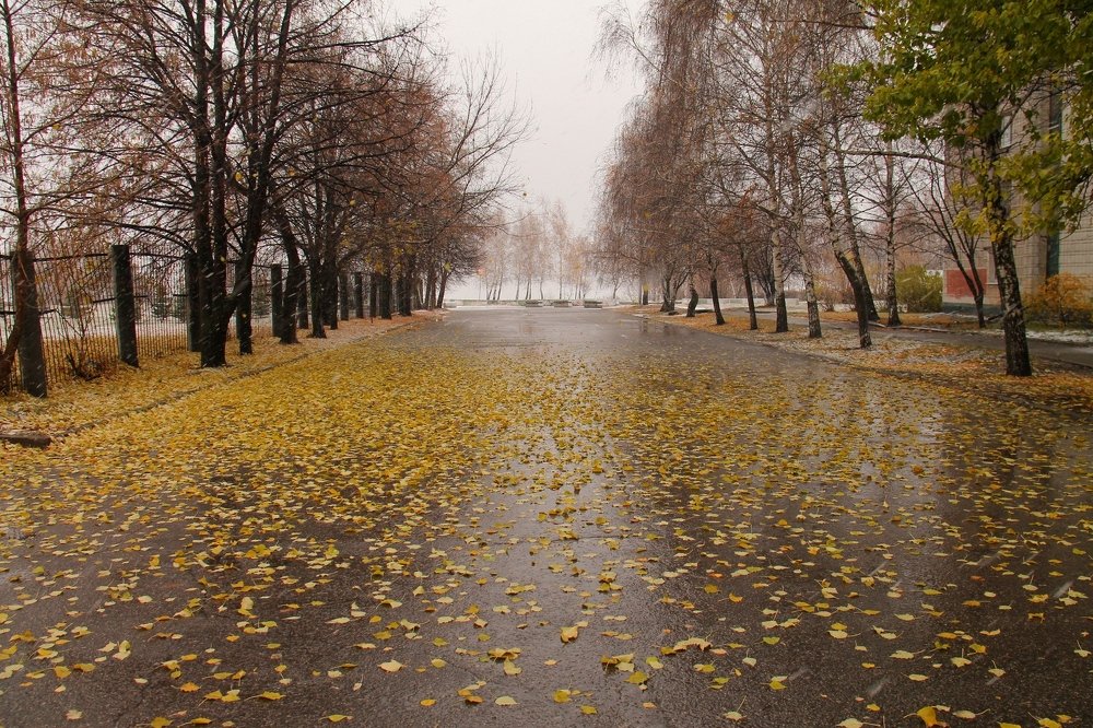 Photograph by Игорь Улитин