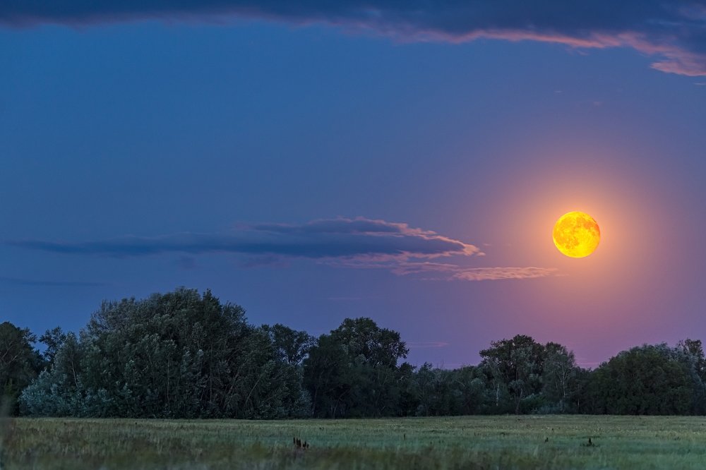 Луна над лугом..