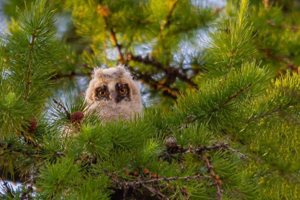 Photograph by Дмитрий Чудинин