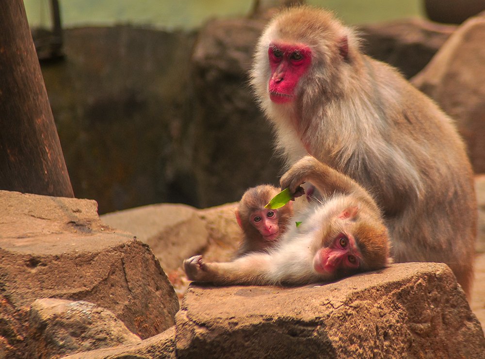 What are you looking at