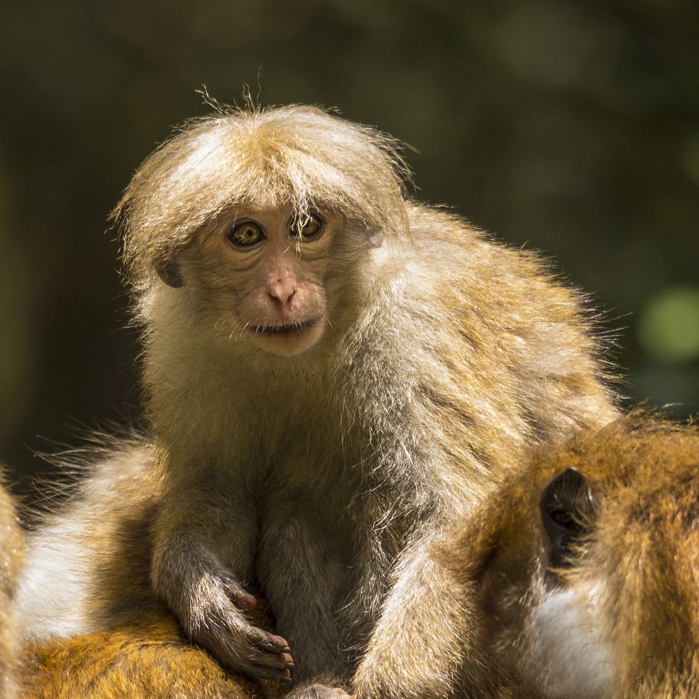 Photograph by Ranley Evarts