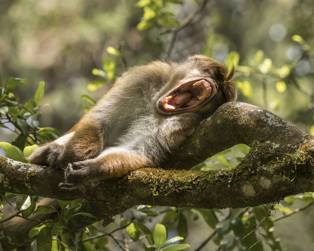 Photograph by Ranley Evarts