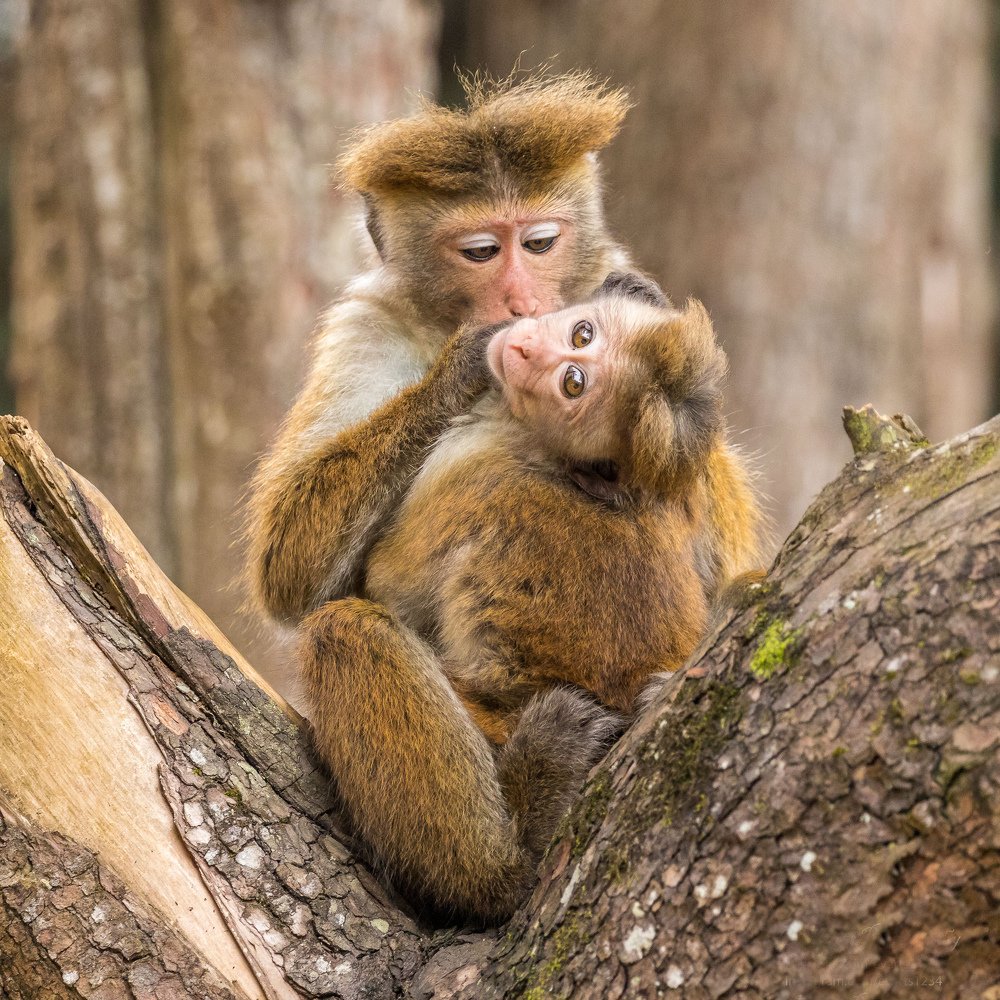 Photograph by Ranley Evarts