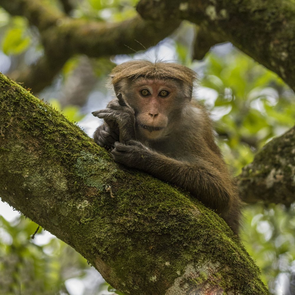 Photograph by Ranley Evarts