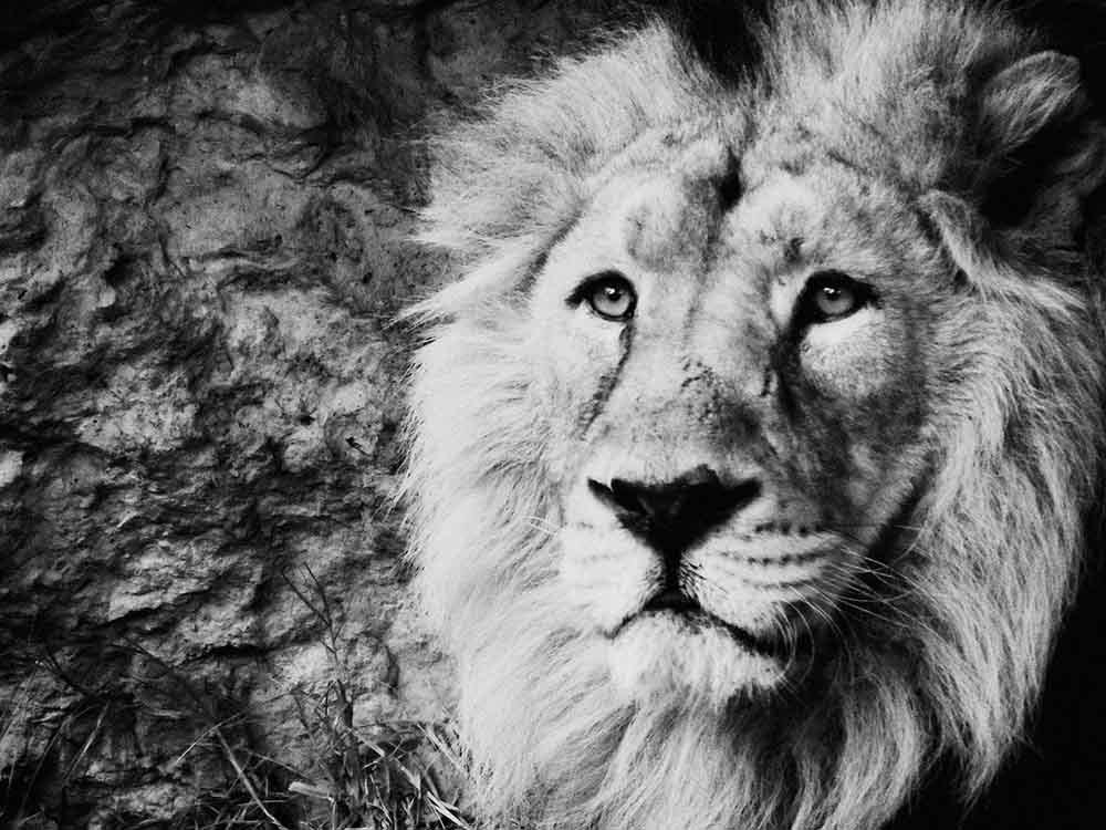 Photograph by Слава Гальперин