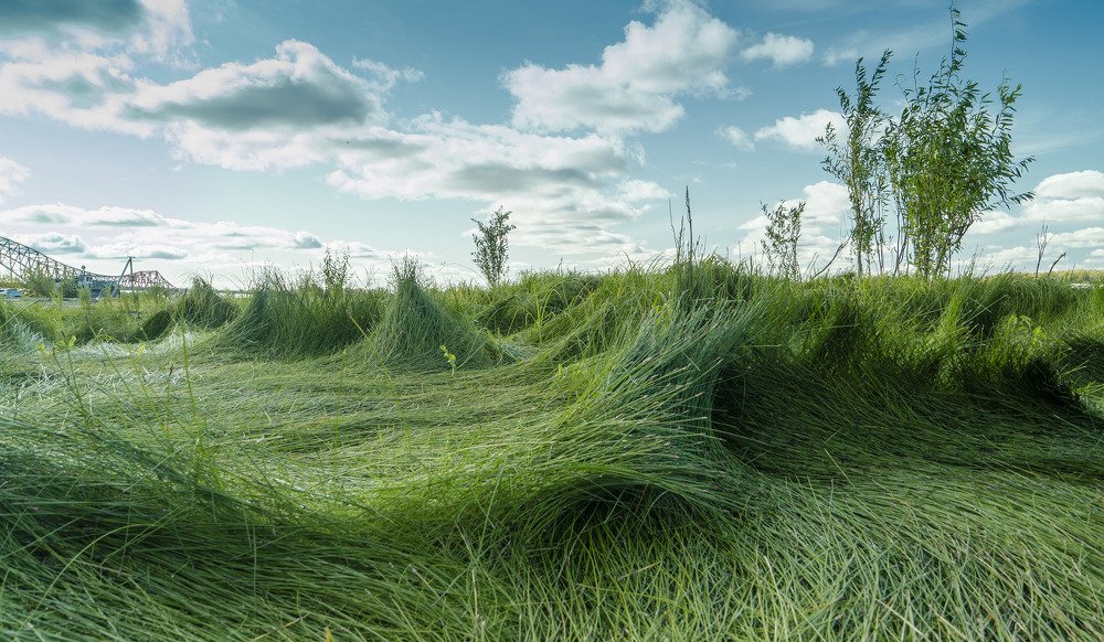 Волны из травы