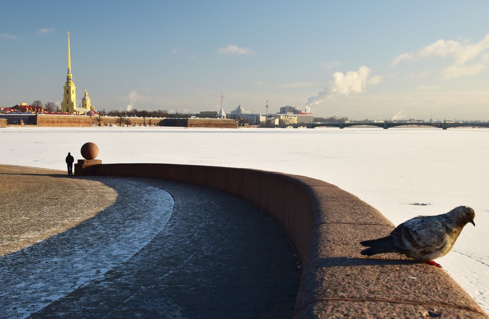 Фотография автора Татьяна Чугунова