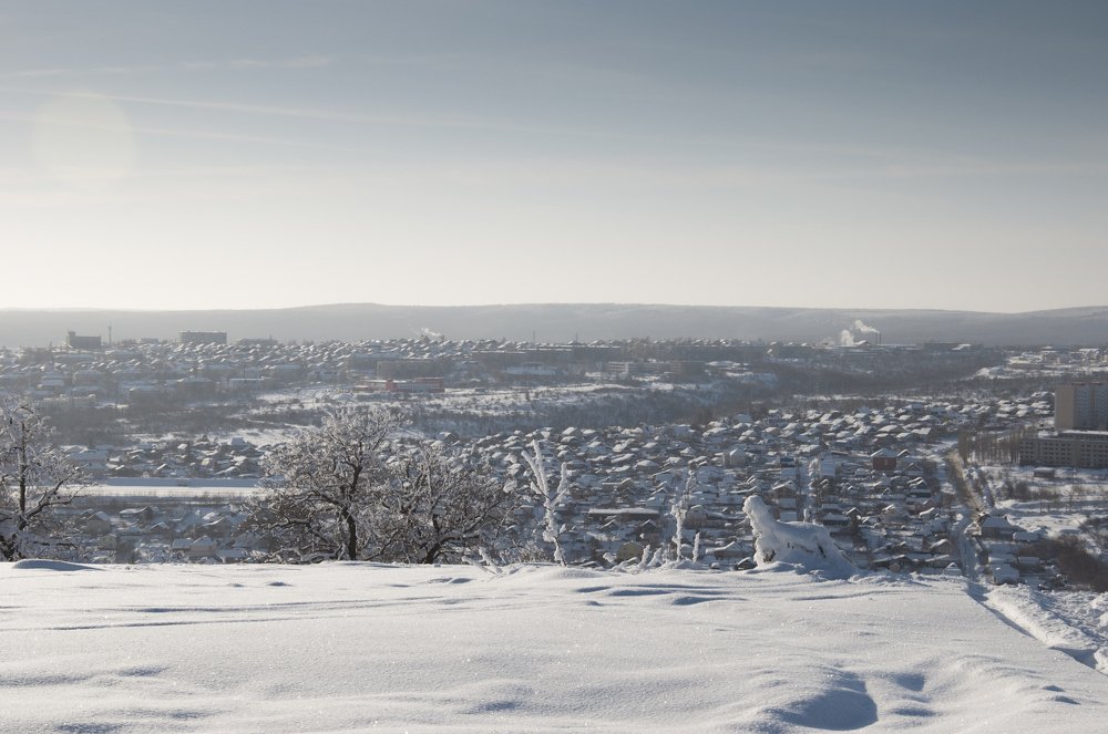 Фотография автора Henry Olcott