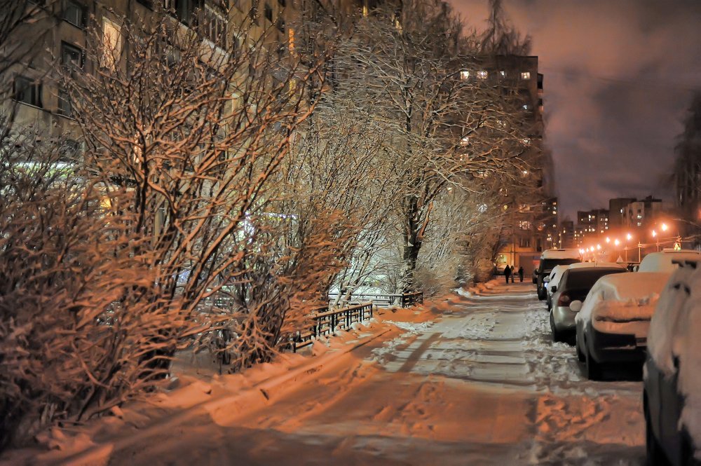 Photograph by 