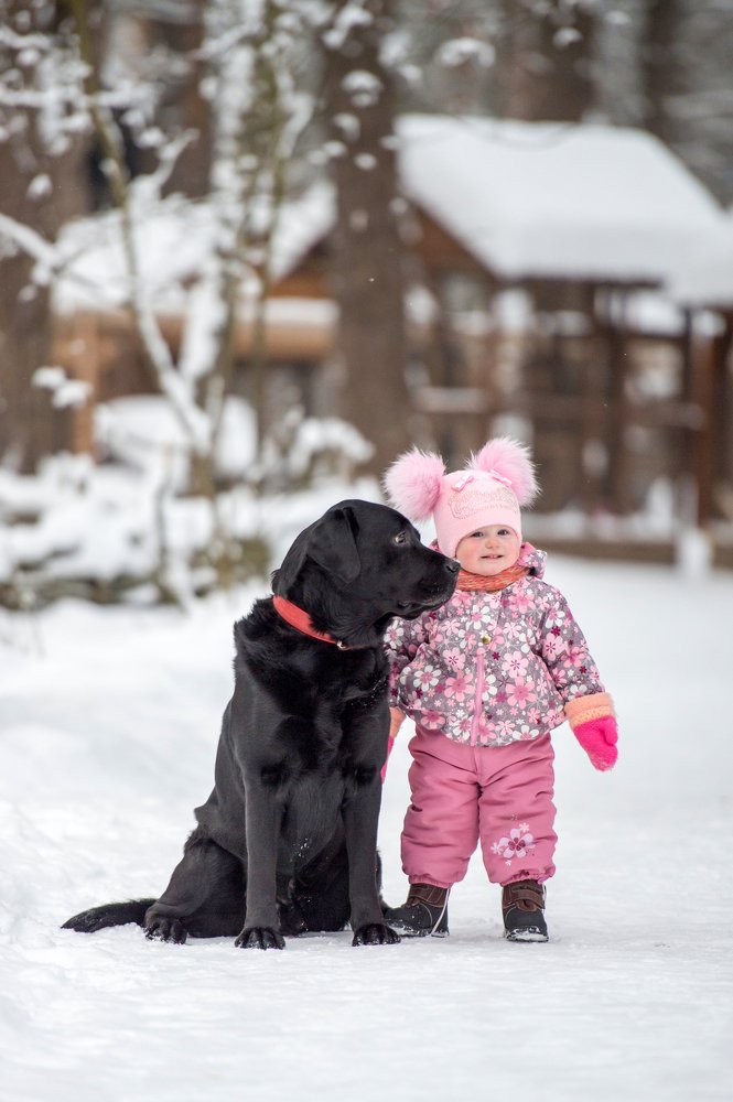Photograph by Кристина Фарнакеева