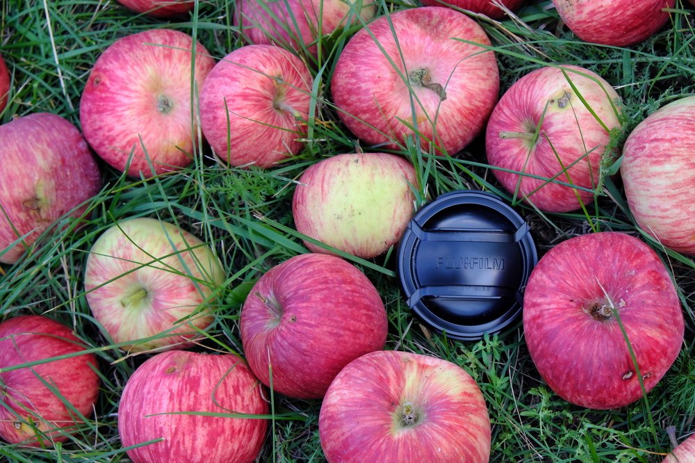 Photograph by Григорий Иванов