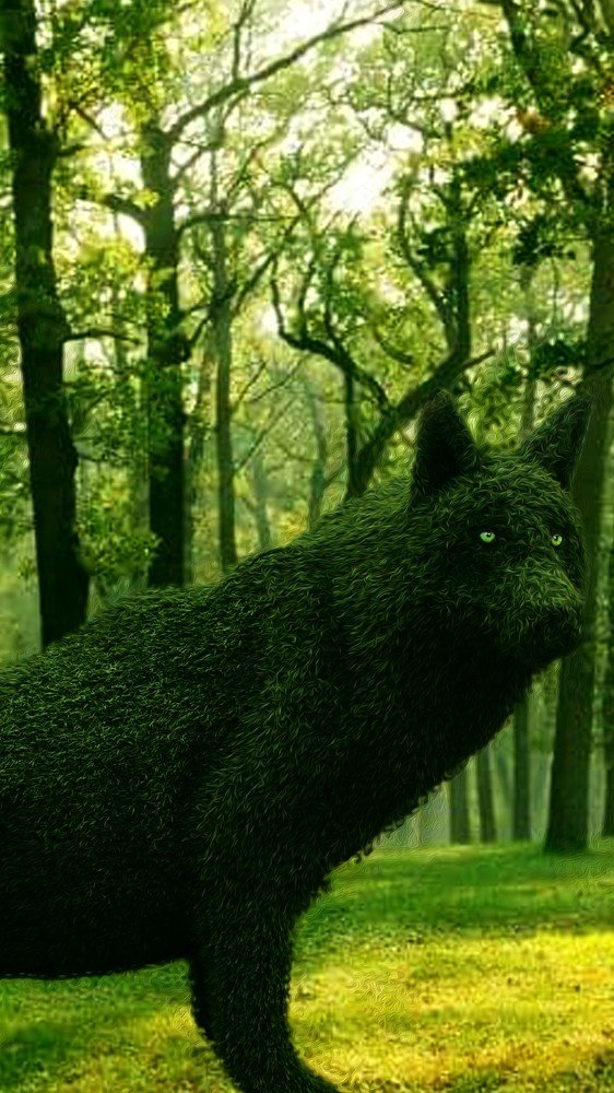 Photograph by Денис Орлов